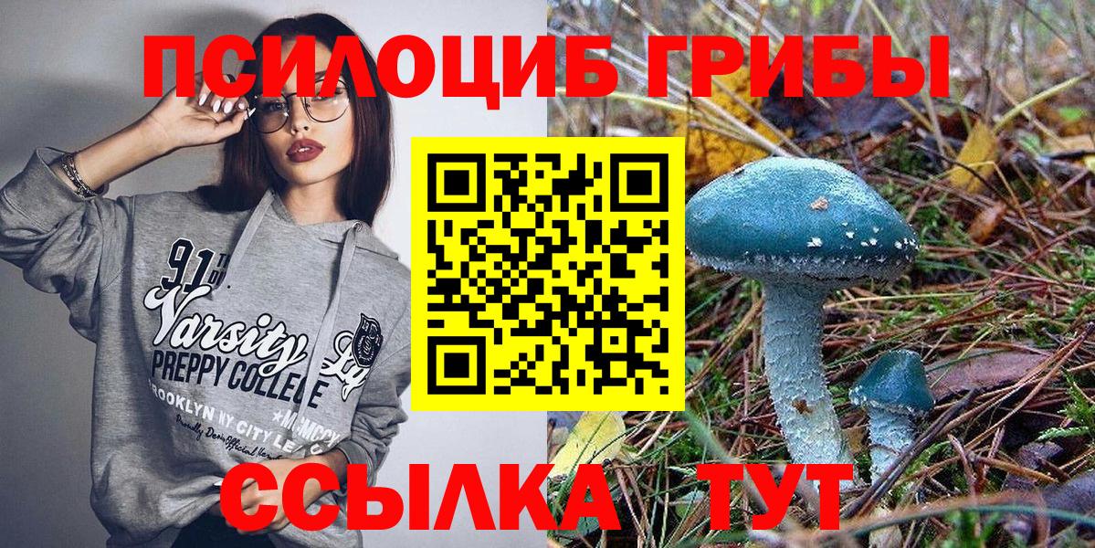 Галлюциногенные грибы GOLDEN TEACHER  Галлюциногенные грибы прущие грибы  Куйбышев  Вход с VPN 