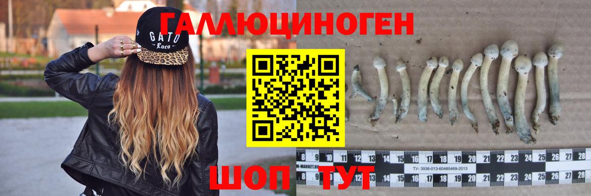 Псилоцибиновые грибы мухоморы Куйбышев
